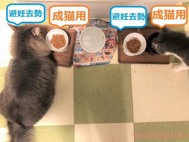 ピュリナワン パウチ(ウェットフード)の口コミ｜うちの猫食べ比べ評価 | ねこひとぐらし