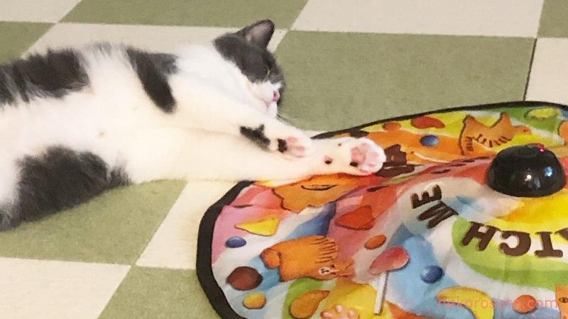 猫と遊べないときの強い味方! キャッチミーイフユーキャン 2【レビュー】