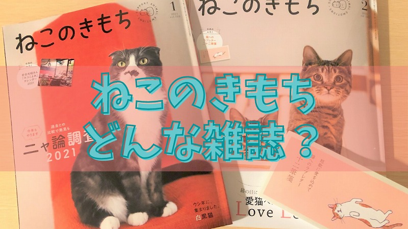 口コミ】「ねこのきもち」は毎月付録が楽しみなお役立ち雑誌！｜2年 