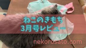 【ねこのきもち2021年3月号】付録はメッシュインナーバッグ!【雑誌感想レビュー】