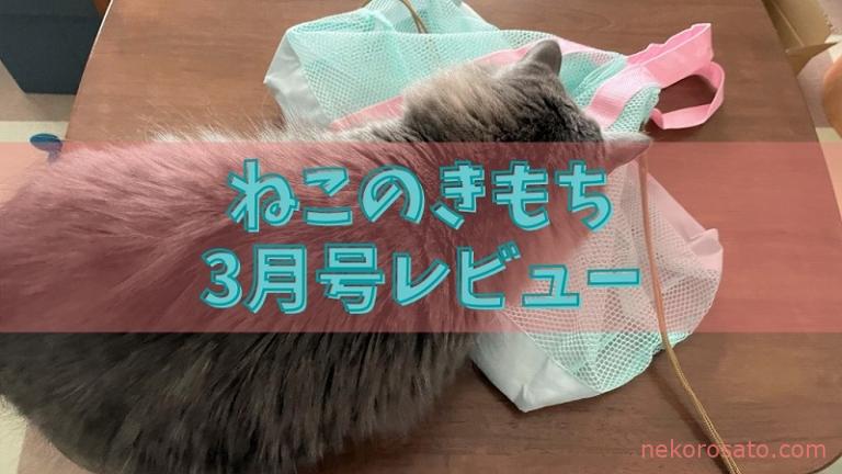 ねこのきもち21年3月号 付録はメッシュインナーバッグ 雑誌感想レビュー ねこひとぐらし