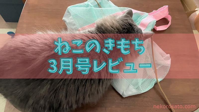 【ねこのきもち2021年3月号】付録はメッシュインナーバッグ!【雑誌感想レビュー】