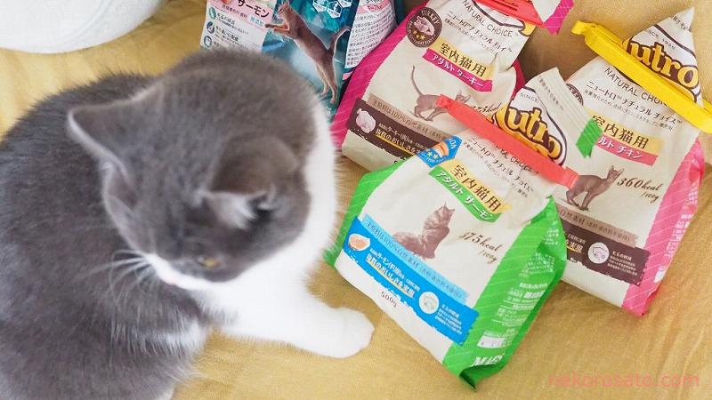 【ニュートロ ナチュラルチョイス】うちの猫の味評価ランキング