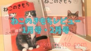 ねこのきもち2021年1・2月号 猫のストレス耐性チェックがピッタリ!【雑誌感想レビュー】