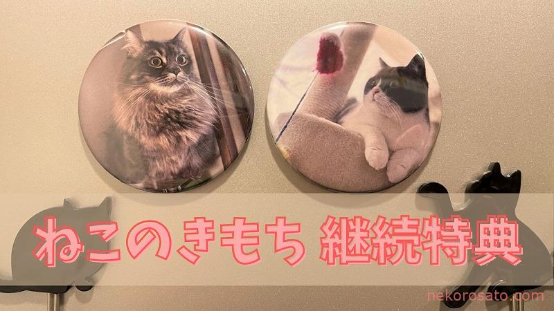 ねこのきもち継続プレゼントが届いたよ