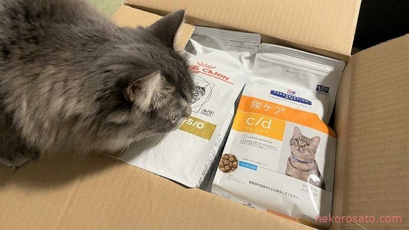 ストルバイト発見から1カ月 療法食にフード切り替えで改善!