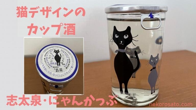 かわいい猫カップ酒の吟醸酒が美味でした 志太泉 にゃんかっぷ ねこひとぐらし