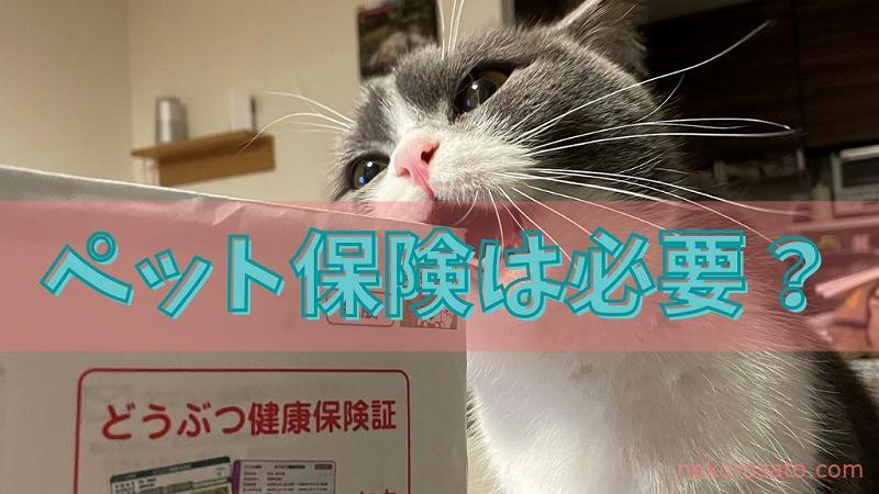 猫のペット保険は必要？ 病院通いの多かった1～3月の保険金返金額を 