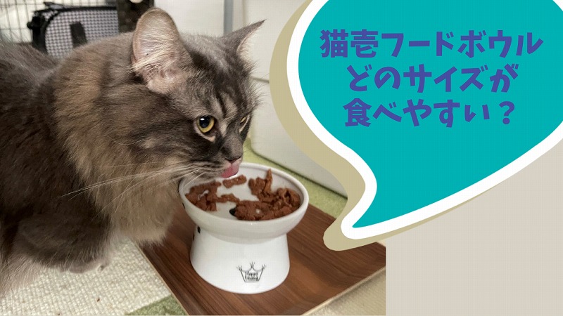 猫壱のフードボウル　食べやすいサイズはどれ？