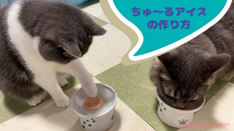 夏におすすめ猫おやつ「ちゅーるアイス」の簡単作り方