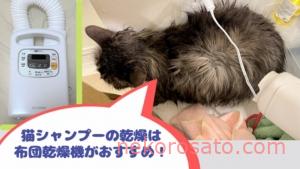 シャンプー後のドライヤーを嫌がる猫には音の小さい布団乾燥機が便利!