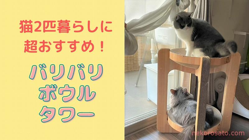 バリバリボウルタワーで猫2匹も飼い主も幸せUP！｜猫壱の爪とぎベッド