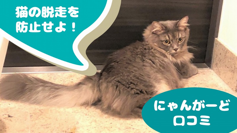 100均手作りペットゲートで猫の脱走防止！ダイソー材料で玄関柵の 