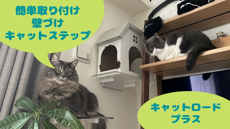 壁付けキャットステップ&家具で簡単キャットウォークづくり|キャットロードプラス