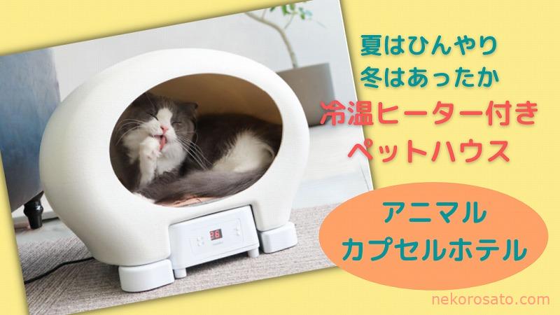 夏も冬も猫が快適温度で暮らせる!?「アニマルカプセルホテル」が登場