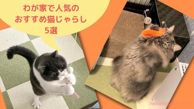 うちの猫に人気の猫じゃらしはこれ!おすすめ5選|2021夏