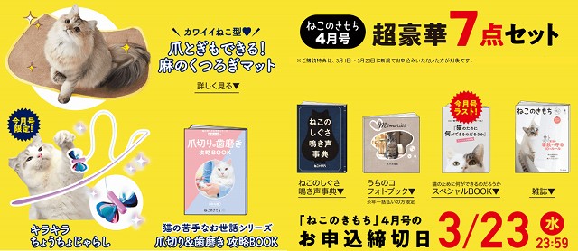 口コミ ねこのきもち は毎月付録が楽しみなお役立ち雑誌 2年愛読レビュー ねこひとぐらし