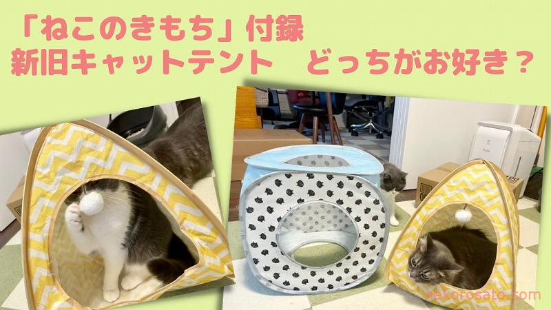 ねこのきもち付録キャットテント・新旧どっちがお気に入り?|2021年9月号
