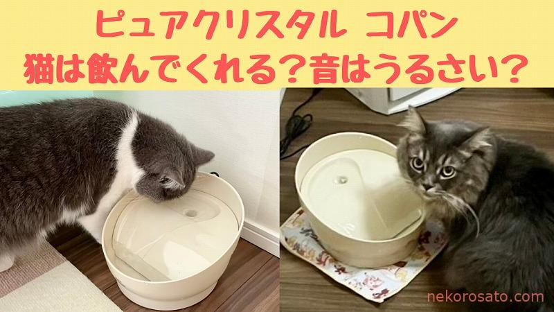 ピュアクリスタル コパン(猫用)口コミ|音はうるさい?小さな猫でも飲みやすい?