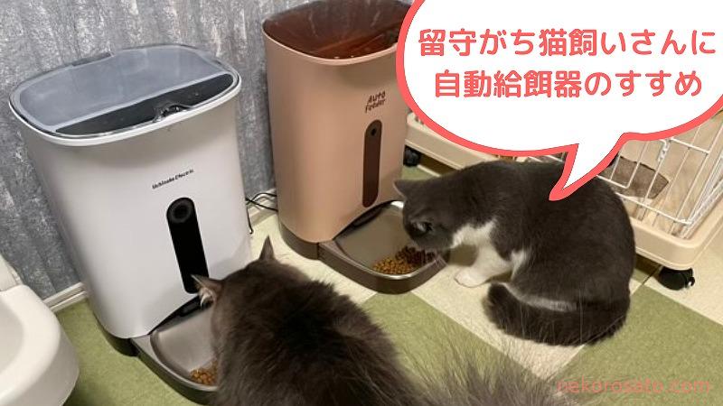 カリカリマシーンSPの口コミ!留守がちな猫飼いさんにおすすめの理由5
