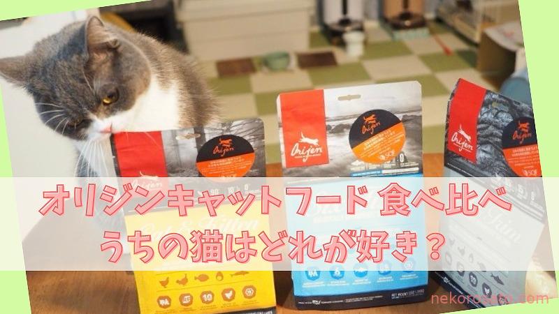 オリジンキャットフードの口コミ!3種食べ比べで猫評価が高かったのはどれ?