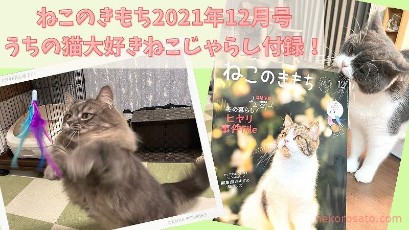 【感想】ねこのきもち2021年12月号 付録はうちの猫大興奮の猫じゃらし！