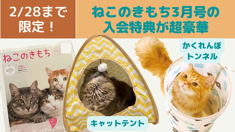 【3月号限定】ねこのきもち入会特典は白猫ターチャントンネル＆キャットテント＆1号無料で超おトク！