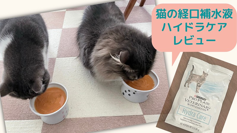 猫の経口補水液ハイドラケアをレビュー!値段はいくら?猫は飲む?
