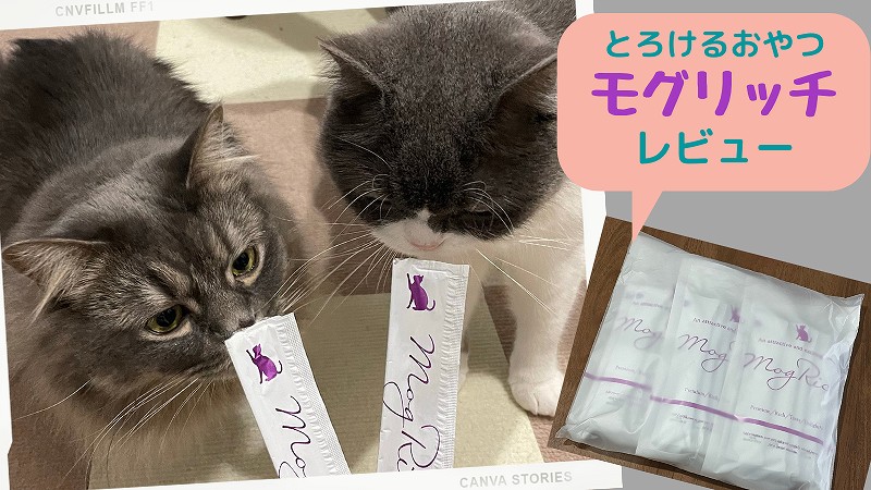 猫おやつモグリッチをレビュー!口コミやうちの猫の評価をまとめました