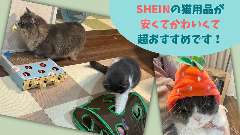 SHEIN(シーイン)の口コミ！猫も喜ぶ安くてかわいいおすすめペット用品レビュー