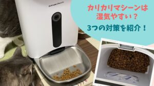 カリカリマシーンは湿気やすい?フードの湿気対策を3つ紹介します!